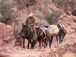 Grand Canyon (Dec 2005) - Hiking Down
